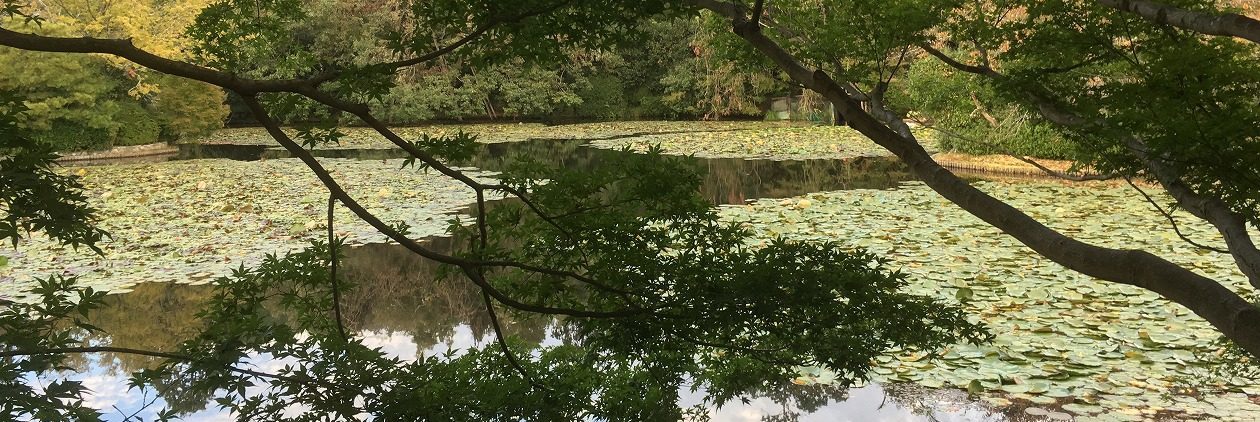 龍安寺池